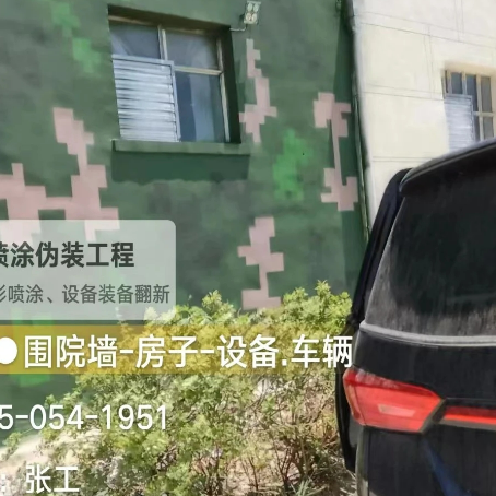 扬州数码迷彩漆施工